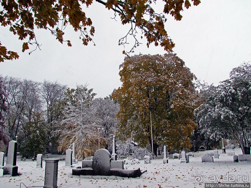 Древнее кладбище у собора Нидаросс, более похожее на парк