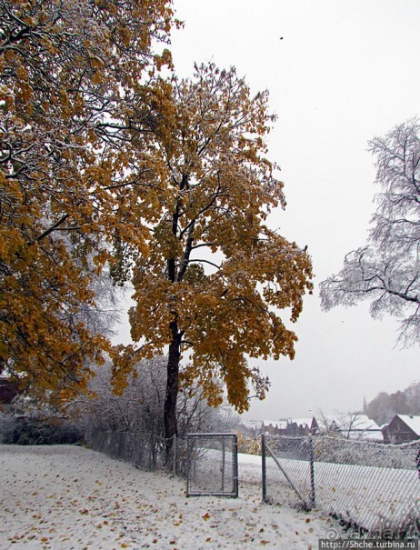 Древнее кладбище у собора Нидаросс, более похожее на парк