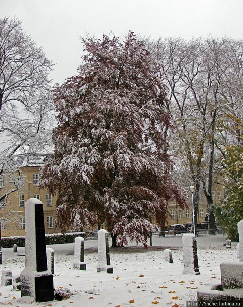 Древнее кладбище у собора Нидаросс, более похожее на парк