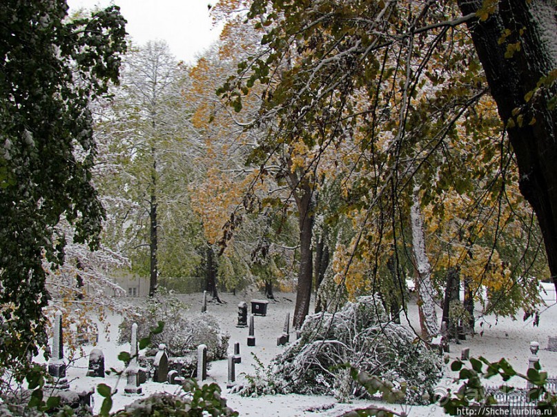 Древнее кладбище у собора Нидаросс, более похожее на парк