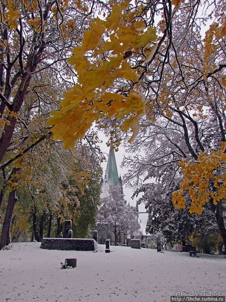 Древнее кладбище у собора Нидаросс, более похожее на парк