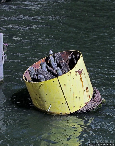 Прогулка вдоль реки в джунглях...бетонных. Chicago Riverwalk