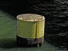 Прогулка вдоль реки в джунглях...бетонных. Chicago Riverwalk