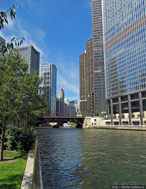 Прогулка вдоль реки в джунглях...бетонных. Chicago Riverwalk