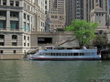 Прогулка вдоль реки в джунглях...бетонных. Chicago Riverwalk