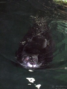 Воспоминания о норвежском круизе 2005. Аквариум в Тромсе