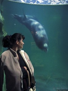 Воспоминания о норвежском круизе 2005. Аквариум в Тромсе