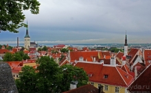 Красные крыши Старого Таллина
