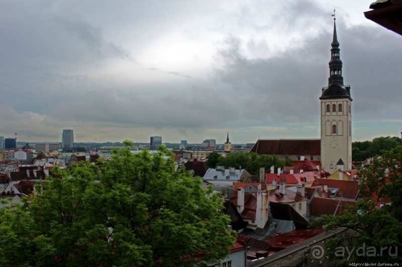 Красные крыши Старого Таллина