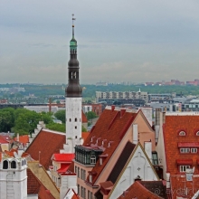 Красные крыши Старого Таллина