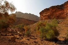 Мавритания. Три дня на знакомство