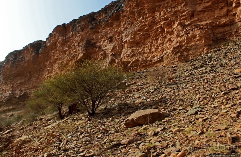 Мавритания. Три дня на знакомство