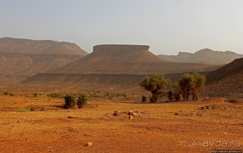 Мавритания. Три дня на знакомство