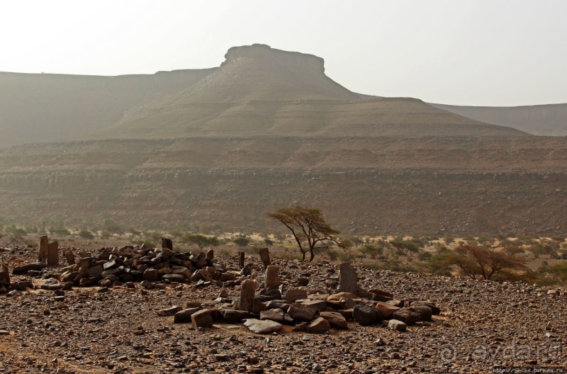 Мавритания. Три дня на знакомство