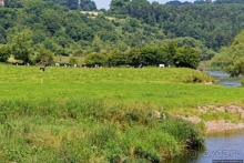 Сельские пейзажи на легендарной реке Бойн