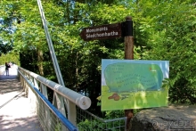 Сельские пейзажи на легендарной реке Бойн