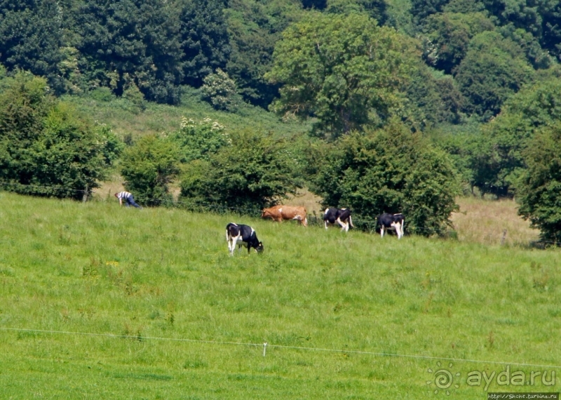 Сельские пейзажи на легендарной реке Бойн