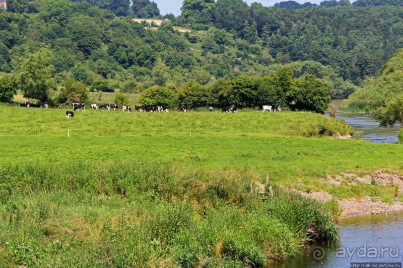 Сельские пейзажи на легендарной реке Бойн