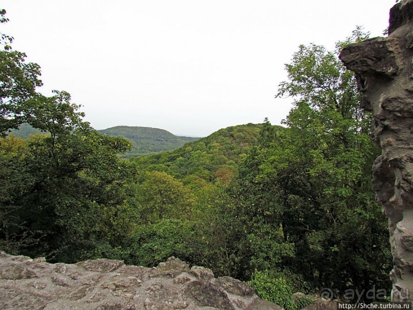 Зеленые холмы, поросшие замками