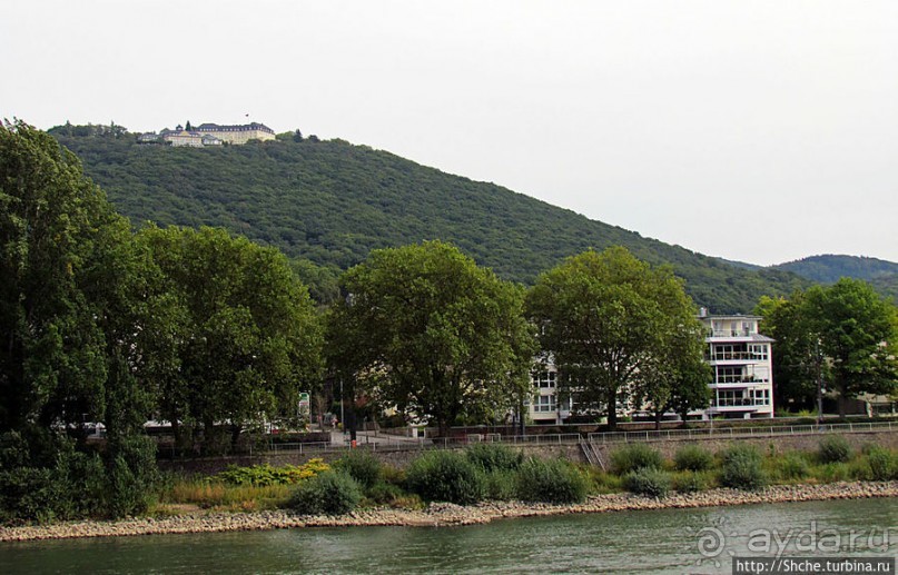 Альбом отзыва "Зеленые холмы, поросшие замками"