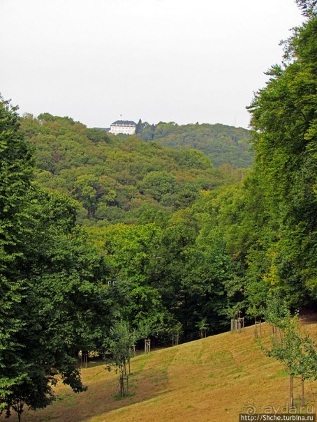 Зеленые холмы, поросшие замками