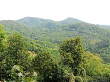 Зеленые холмы, поросшие замками