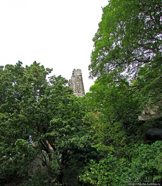 Альбом отзыва "Зеленые холмы, поросшие замками"