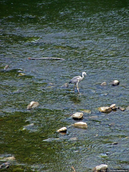 Искырское ущелье: река и скалы. Мифы и реальность