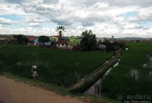 "Из песни слов не выкинешь..."