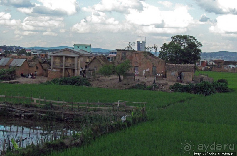 "Из песни слов не выкинешь..."