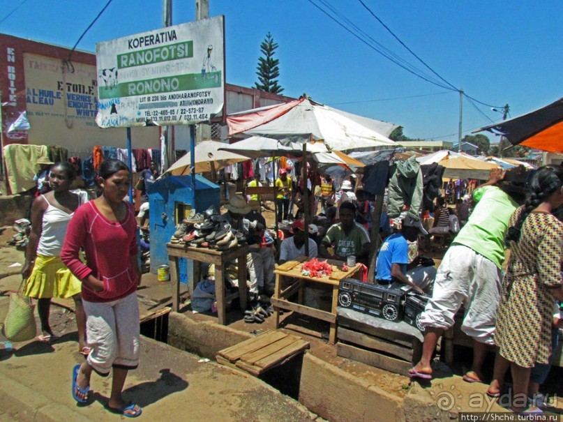 "Из песни слов не выкинешь..."
