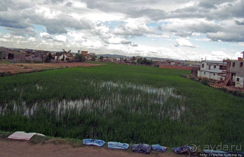 "Из песни слов не выкинешь..."