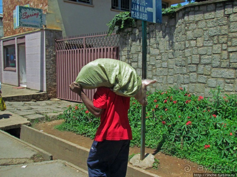"Из песни слов не выкинешь..."
