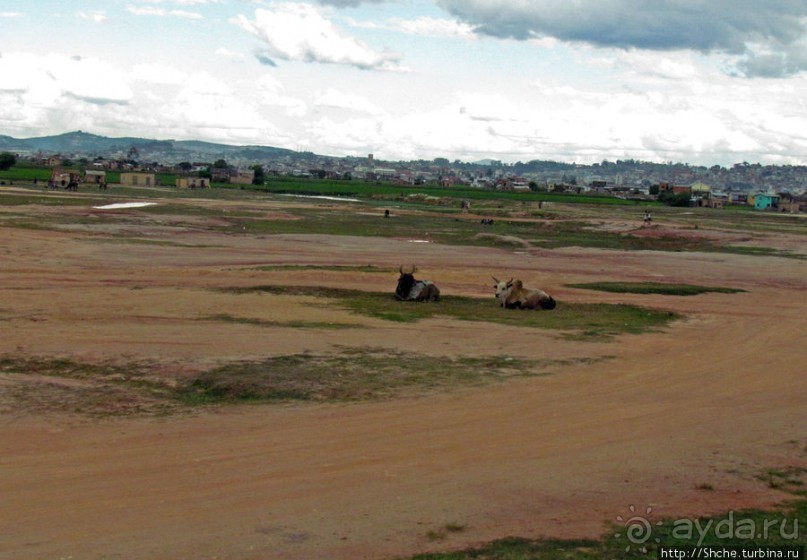 "Из песни слов не выкинешь..."