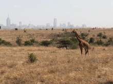 Прибыли в Кению в «Маленький Рай