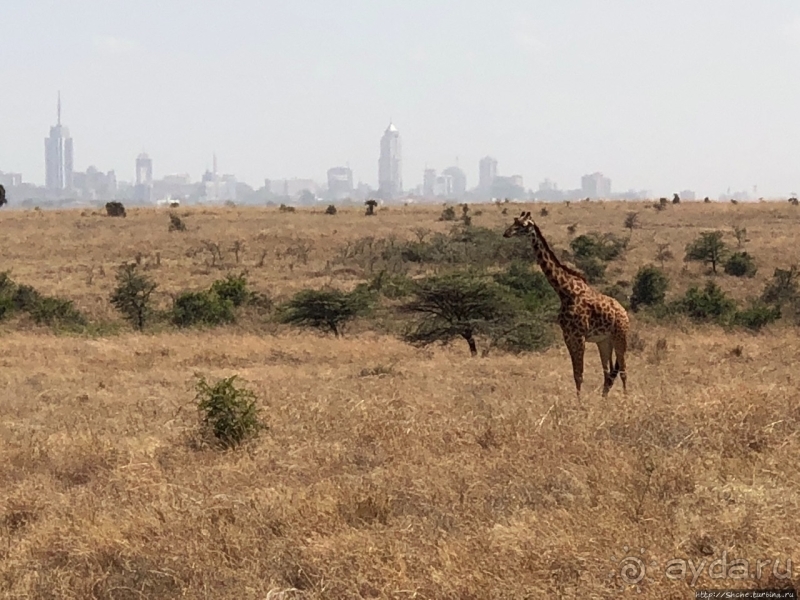 Прибыли в Кению в «Маленький Рай