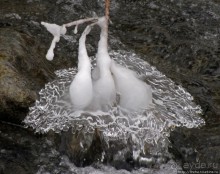 Alpine Loop - самая красивая горная дорога штата Юта