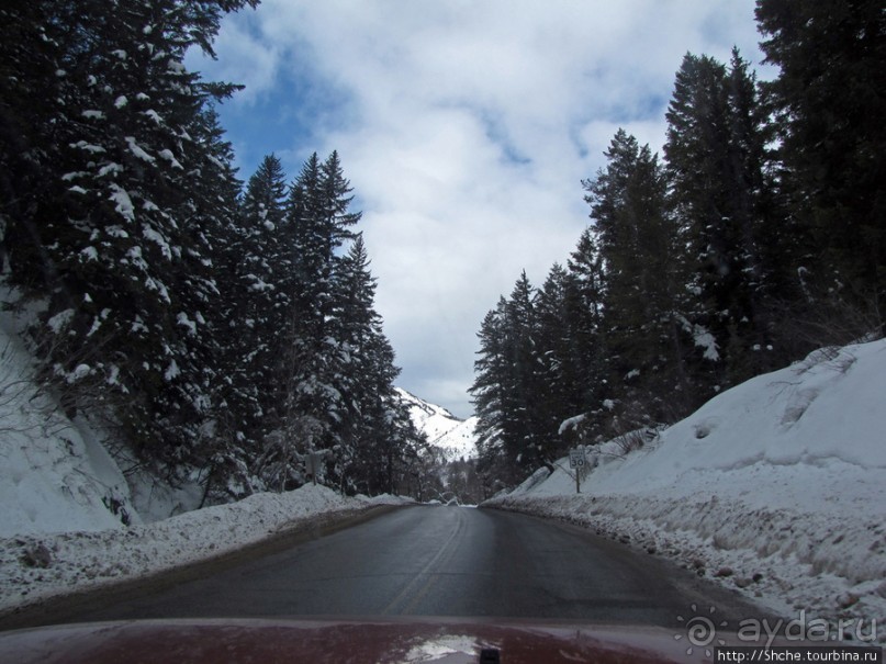 Alpine Loop - самая красивая горная дорога штата Юта
