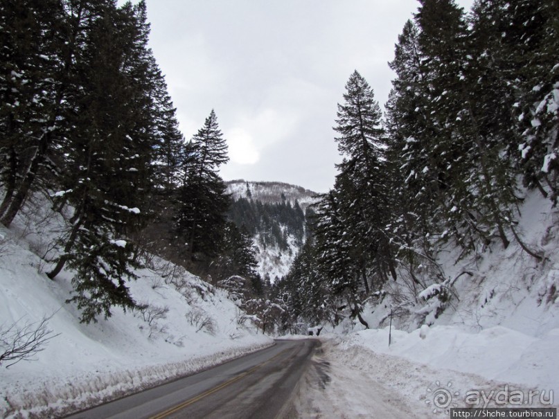 Alpine Loop - самая красивая горная дорога штата Юта