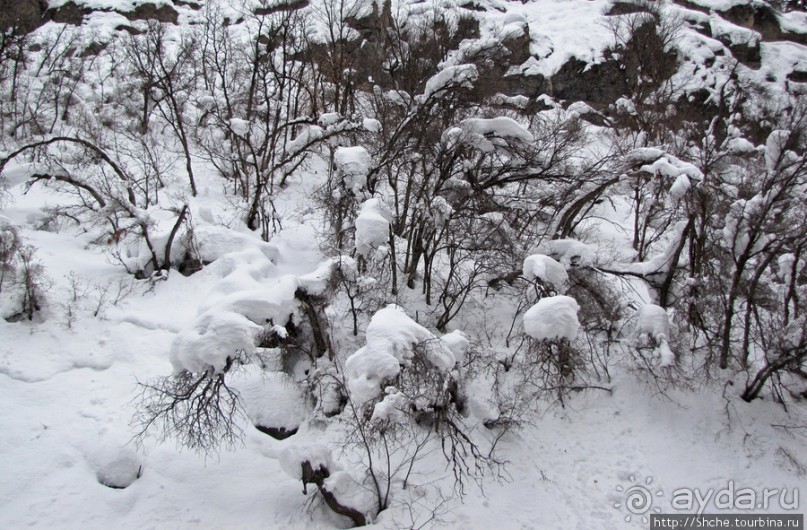 Alpine Loop - самая красивая горная дорога штата Юта