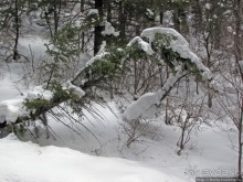 Alpine Loop - самая красивая горная дорога штата Юта
