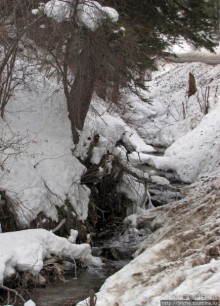 Alpine Loop - самая красивая горная дорога штата Юта