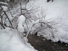 Alpine Loop - самая красивая горная дорога штата Юта