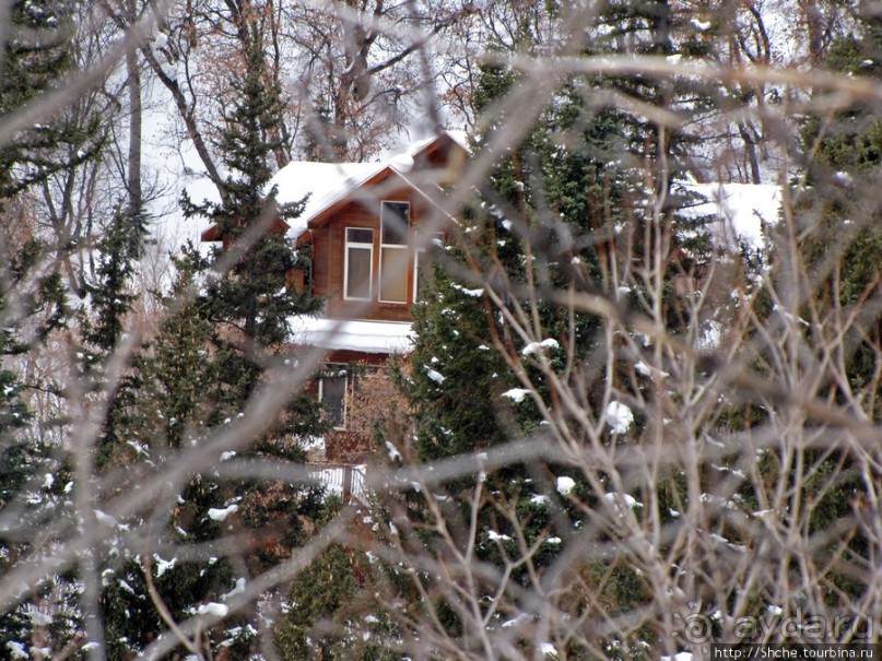 Alpine Loop - самая красивая горная дорога штата Юта