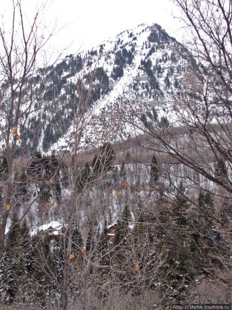 Alpine Loop - самая красивая горная дорога штата Юта