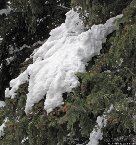 Alpine Loop - самая красивая горная дорога штата Юта