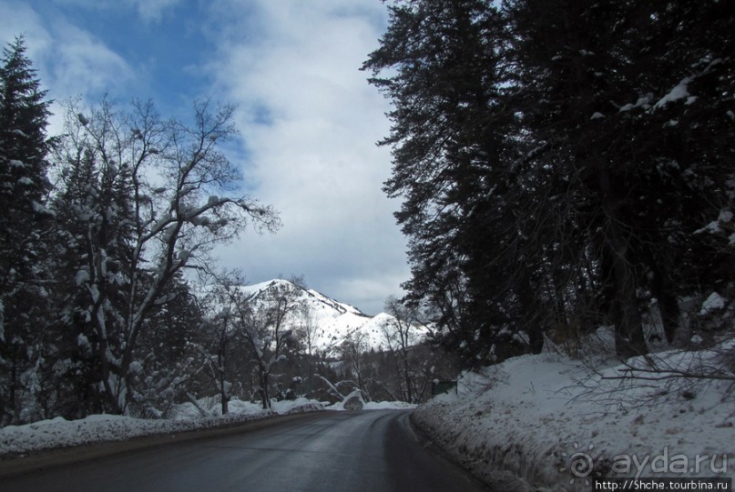 Alpine Loop - самая красивая горная дорога штата Юта