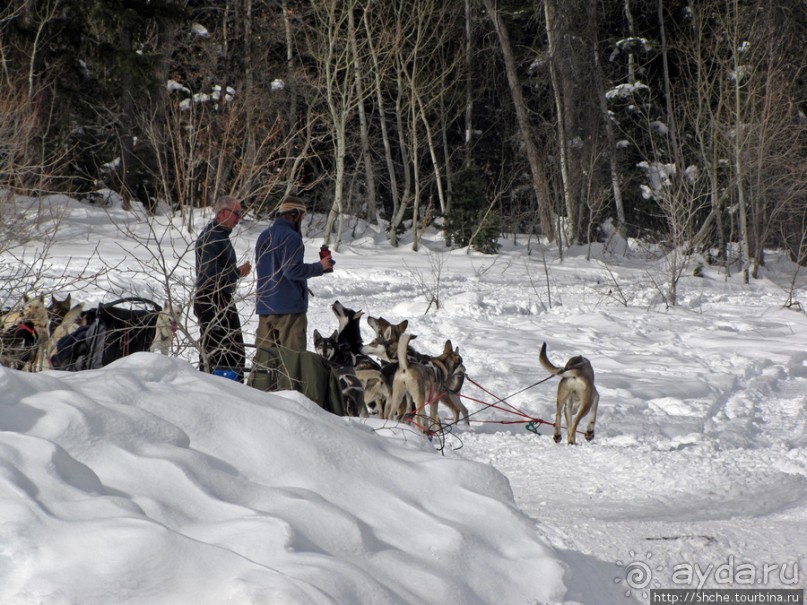 Alpine Loop - самая красивая горная дорога штата Юта