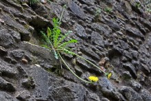 О чем обычно молчат путеводители... Аббатство Нетли