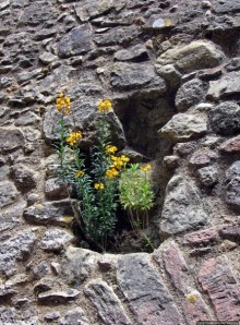 О чем обычно молчат путеводители... Аббатство Нетли